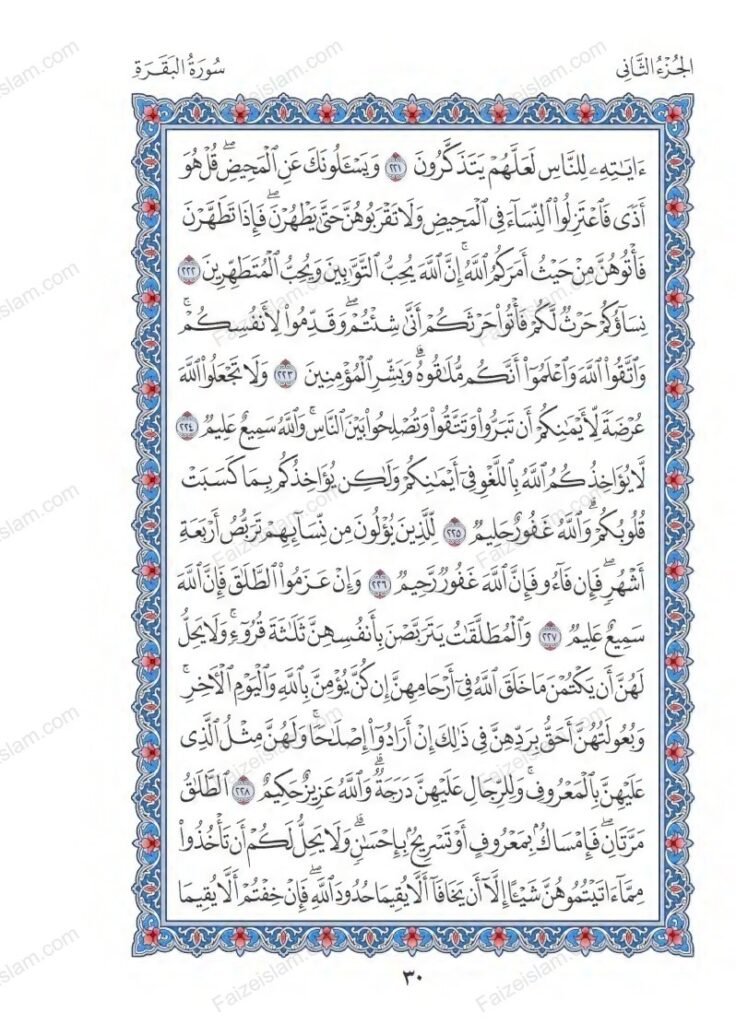 Surah Baqarah faizeislam (29)