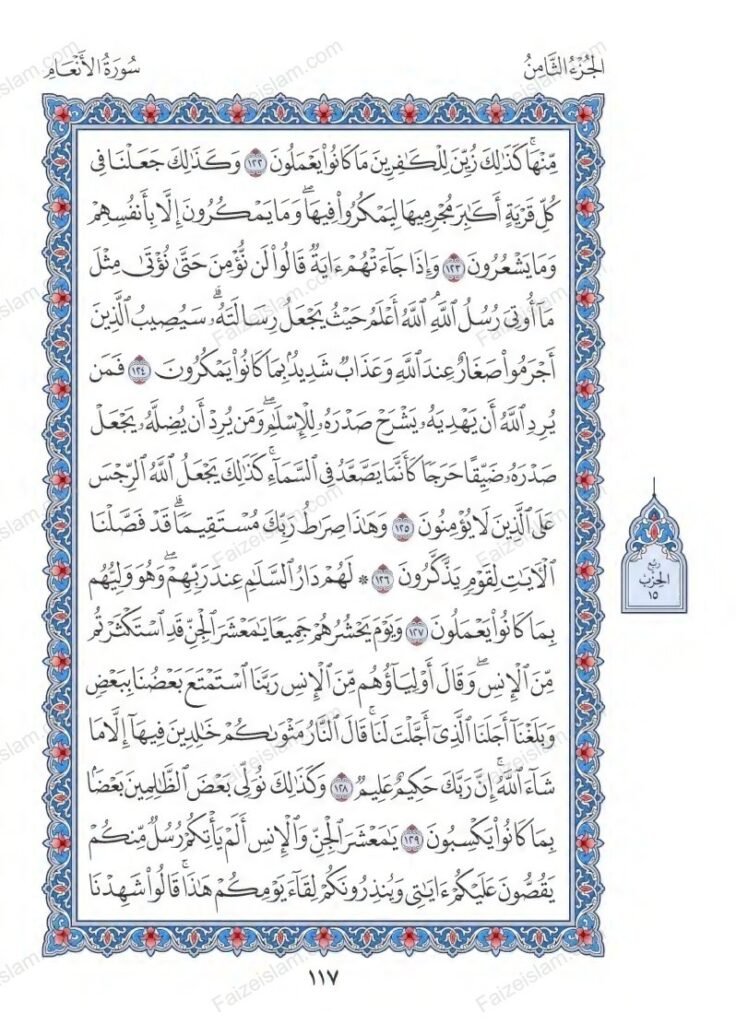 Surah Al Anam faizeislam (14)