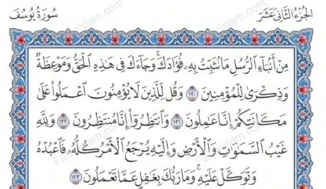 Surah Hud faizeislam (13)