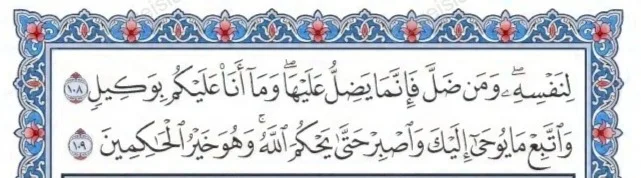 Surah yunus faizeislam (13)