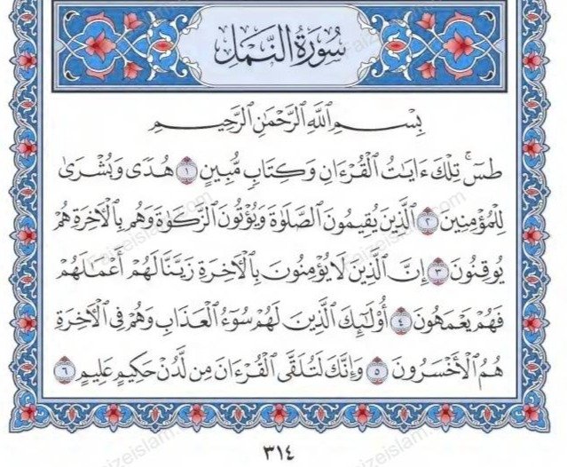 Surah An Naml by faiz e islam (1)