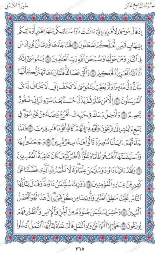 Surah An Naml by faiz e islam (2)